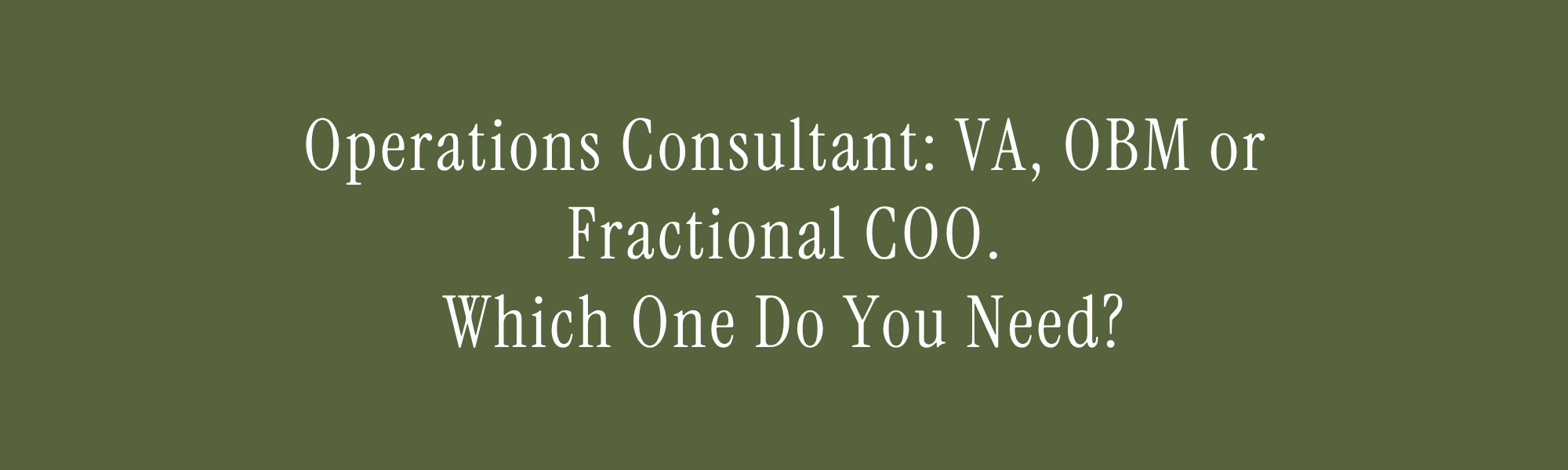 operations consultant VA OBM fractional COO small business