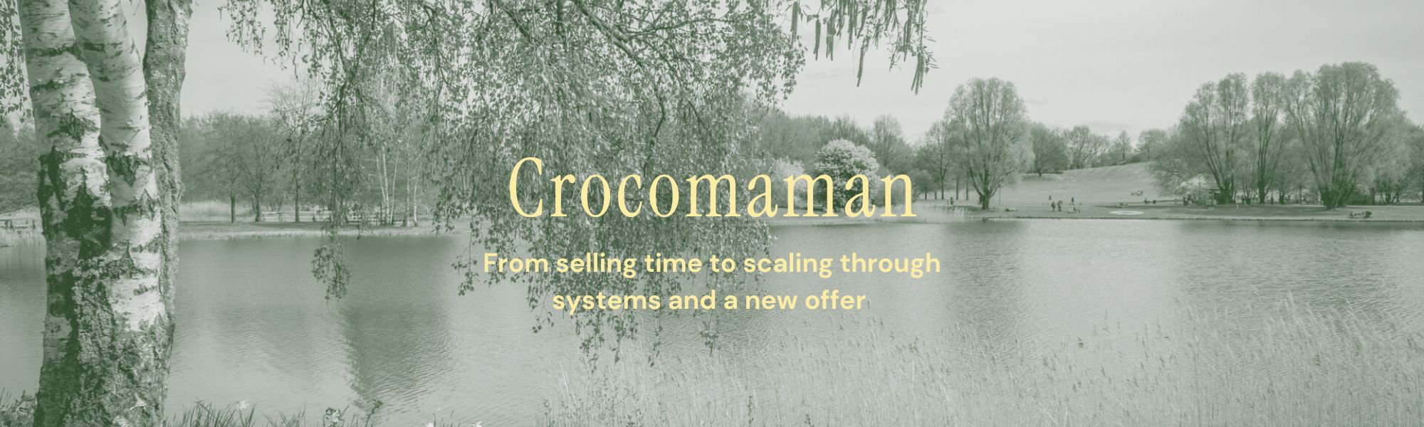 Crocomaman – Sales Funnel Sales funnel optimization to diversify revenue