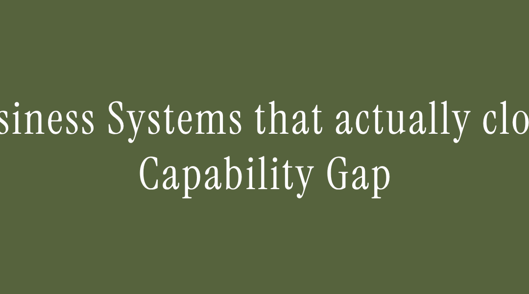 Business Systems for entrepreneurs: close your capability gap
